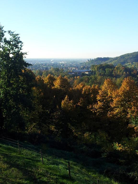Cascina Ronchi Agroturismo